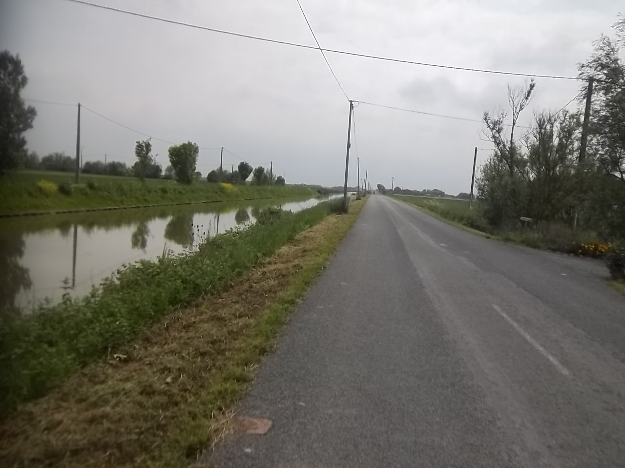 Dans la longue ligne droite vers Triaize