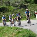 20170604_Le Ventoux par Sault_03